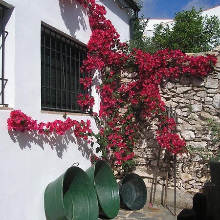 Casa Rural y Restaurante Casa Adriano Hostal Alanís Exterior foto