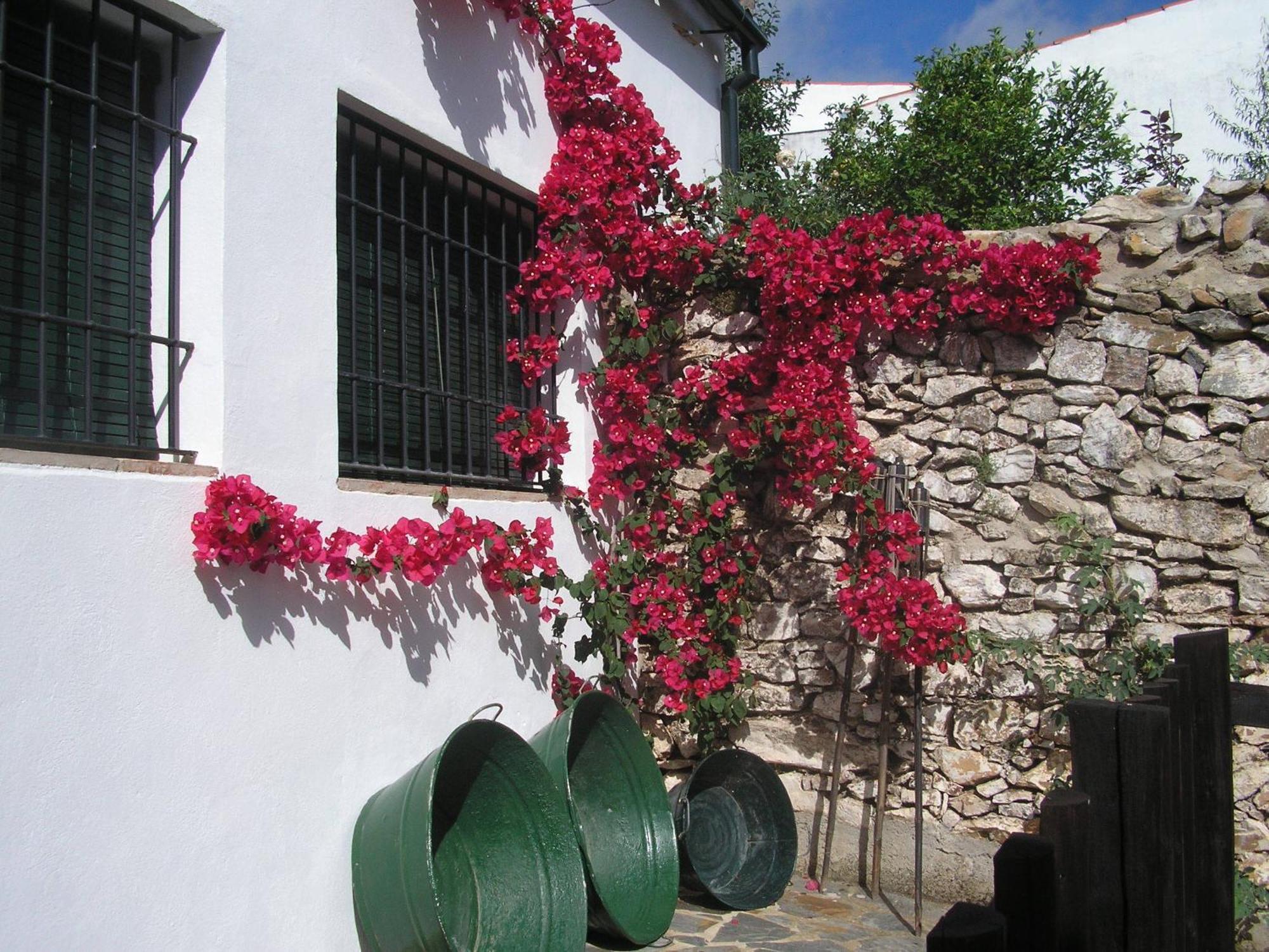 Casa Rural y Restaurante Casa Adriano Hostal Alanís Exterior foto